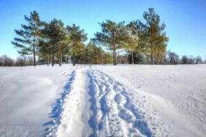 поле, зима